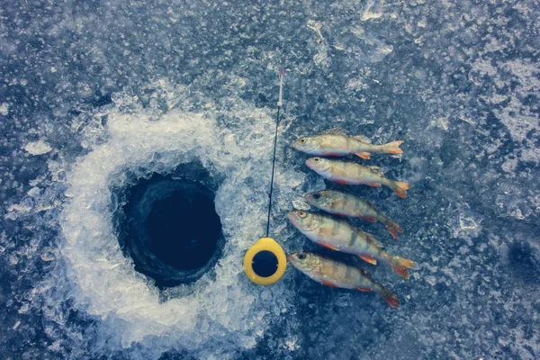 Pêche sur la glace sur le lac — Photo