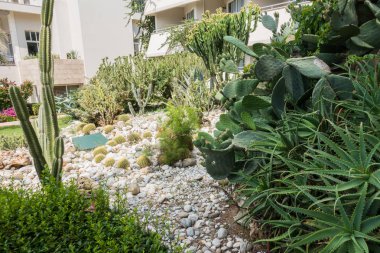 Güzel tatil beldesi. Yeşil ve çiçekler