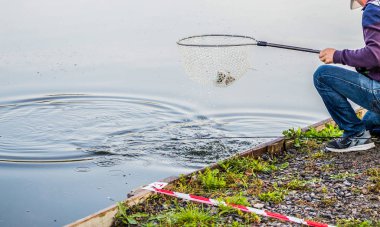 Alabalık balıkçılık Nehri üzerinde