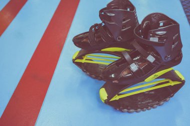 kangoo botları yakından atlar