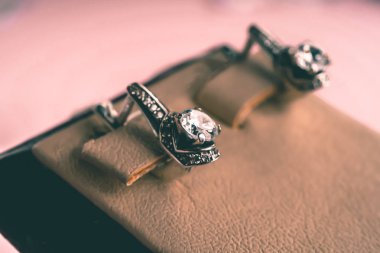 Taşlar Gümüş Küpe