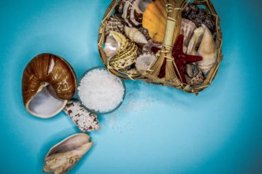 Kabukları ve deniz tuzu arka plan