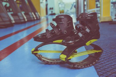 kangoo botları yakından atlar