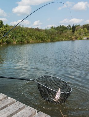 Alabalık balıkçılık Nehri üzerinde