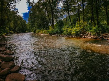 Ormanda güzel hızlı nehir
