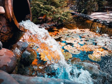 eski bir vazodan şelale