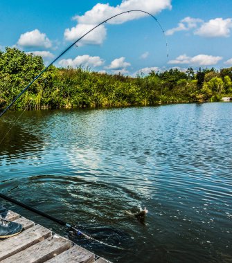 Alabalık balıkçılık Nehri üzerinde
