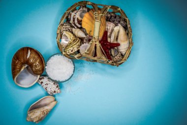 Kabukları ve deniz tuzu arka plan