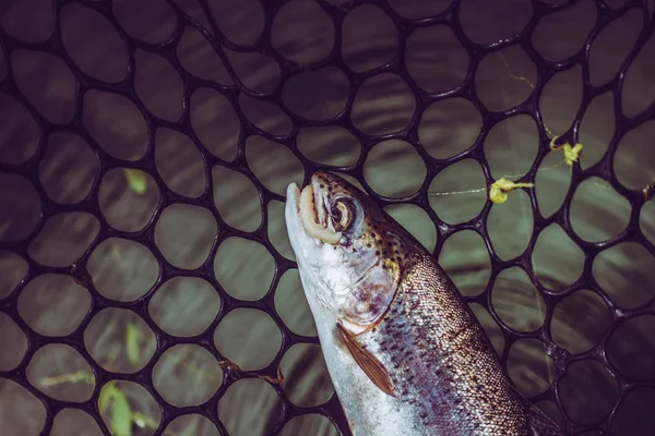 Pesca da truta no lago — Fotografia de Stock