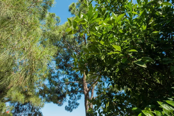 Magníficas paisagens balneares — Fotografia de Stock