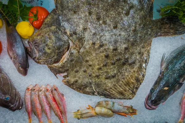 Fish on ice in a fish restaurant — Stock Photo, Image