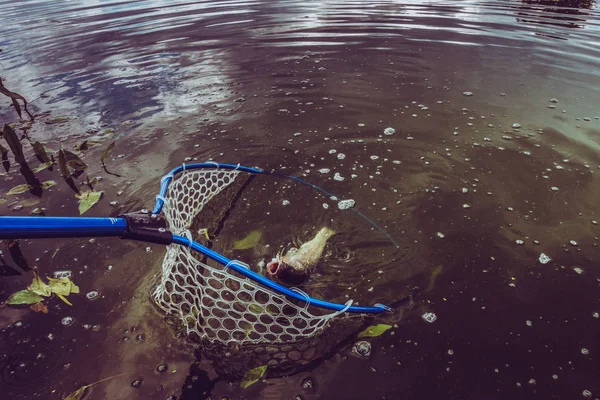 Pêche à la truite sur le lac — Photo