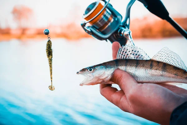 Fishing Fisherman Fish — Stock Photo, Image