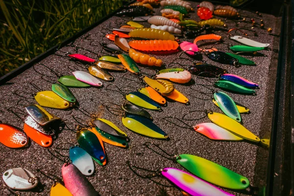 Pescador pegar truta arco-íris do lago — Fotografia de Stock