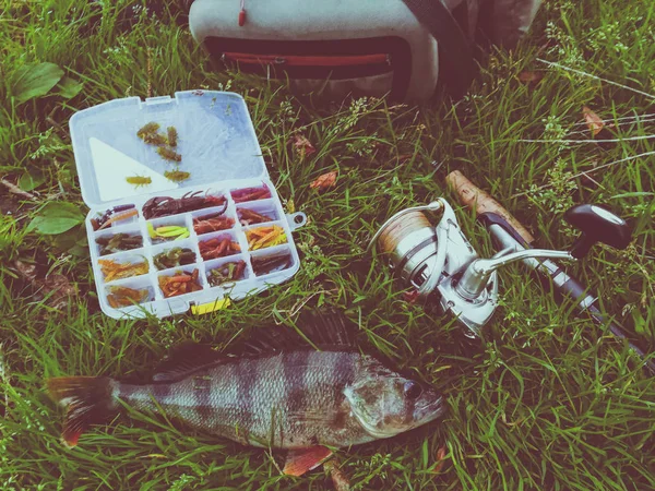 Concepto de pesca: pescado, caña de pescar, cebo —  Fotos de Stock