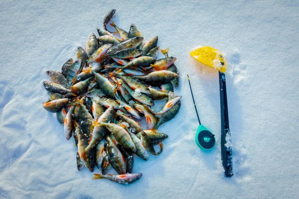 Winter Vissen Uit Ijs — Stockfoto
