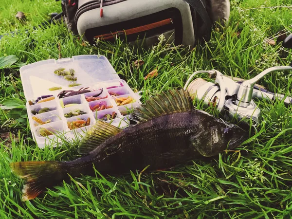 Concepto de pesca: pescado, caña de pescar, cebo — Foto de Stock