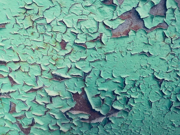 Textura Pintura Verde Irradiada — Foto de Stock
