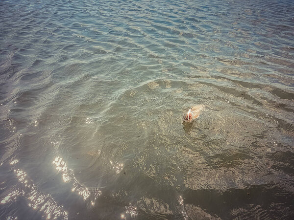 рыбалка на озере