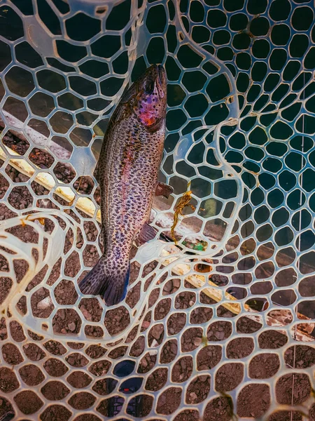 Фон на тему рыбалки — стоковое фото
