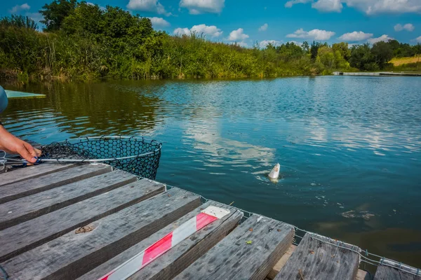 Fiske på sjön bakgrunden — Stockfoto