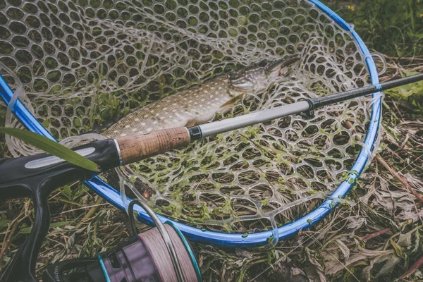 Pesca de lucio en el lago —  Fotos de Stock