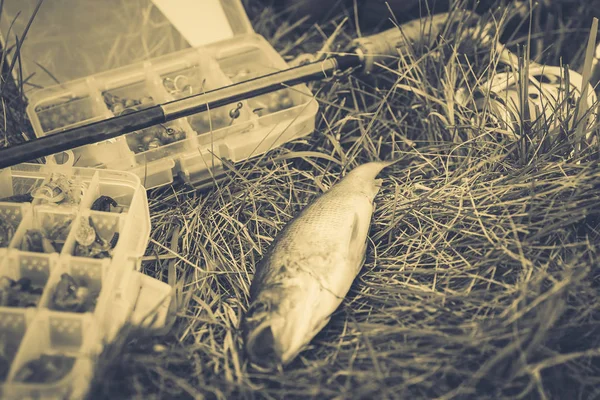 Концепція Риболовлі Снасть Рибальський Стрижень Риба Траві — стокове фото