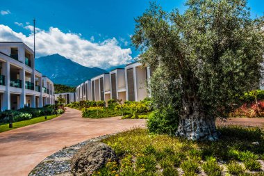 Güzel tatil beldesi. Yeşil ve çiçekler