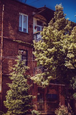 güzel şehir yeşil balkon