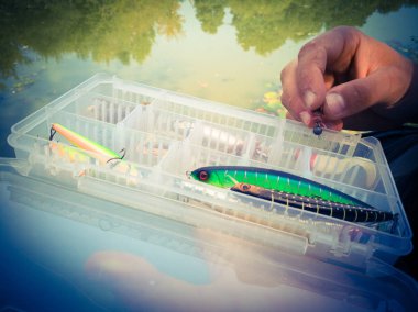 bir kutuiçinde balık için yem