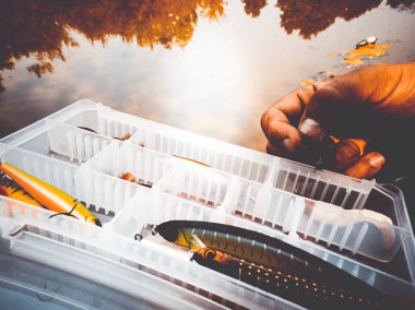 bir kutuiçinde balık için yem