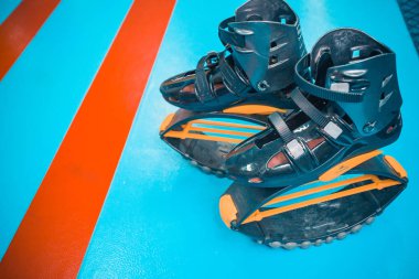 kangoo botları yakından atlar