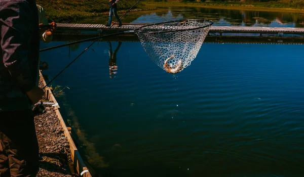 Рыбак ловит радужную форель с озера — стоковое фото