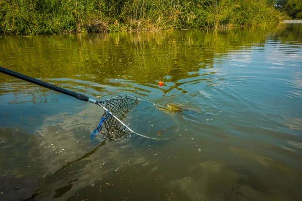 Halászati Elkapni Hobbi — Stock Fotó