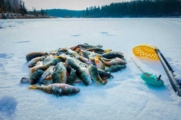 Pesca Invierno Desde Hielo — Foto de Stock