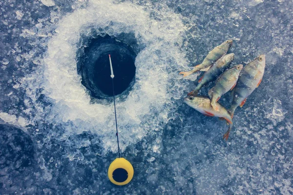 Pesca no gelo no lago — Fotografia de Stock