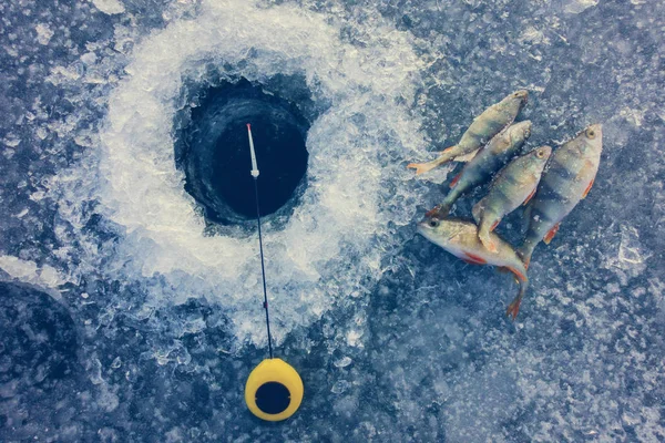 Pêche sur la glace sur le lac — Photo