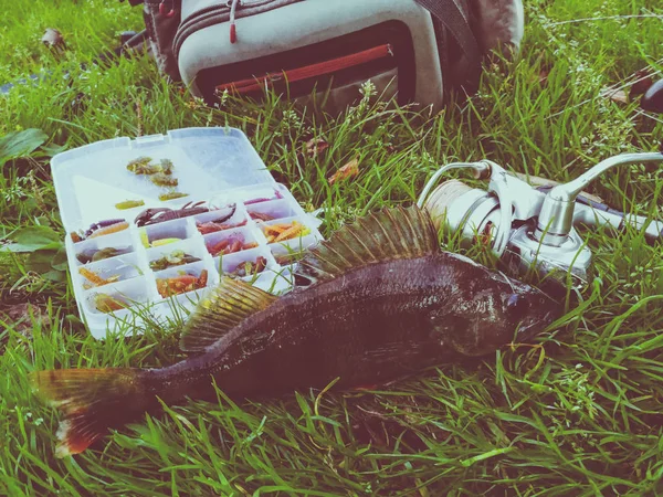 Concetto di pesca: pesce, canna da pesca, esca — Foto Stock