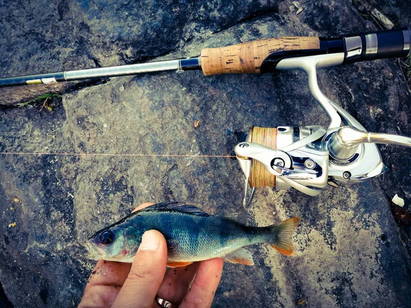 El pescador ha cogido el pez pequeño para el cebo — Foto de Stock