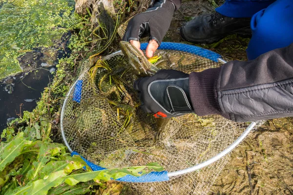 Goede Visserij Vangst Hobby — Stockfoto