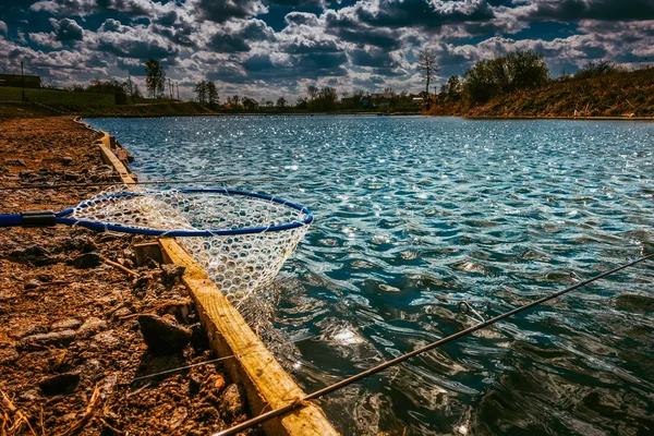 Vissen op het meer — Stockfoto