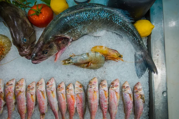 Fish on ice in a fish restaurant