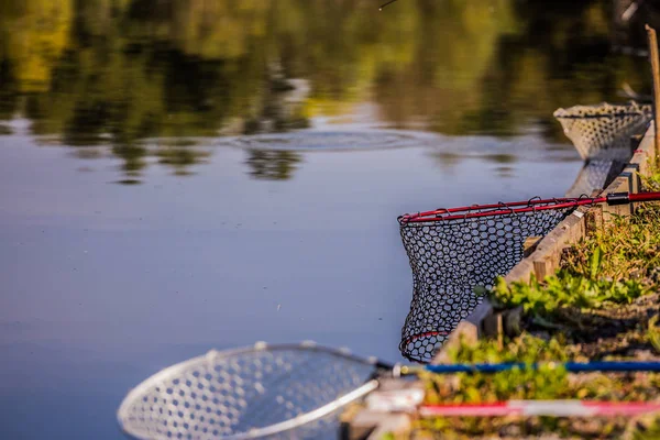 Риболовля Форелями Річці — стокове фото