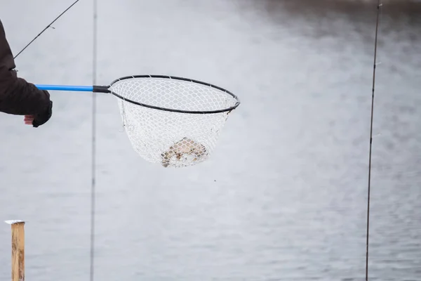 Pesca Alla Trota Sul Fiume — Foto Stock