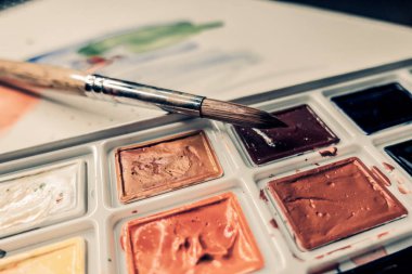 Araçlar Illustrator. Boyalar ve albüm