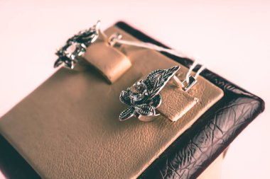 Taşlar Gümüş Küpe