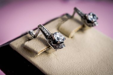 Taşlar Gümüş Küpe