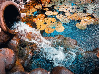 eski bir vazodan şelale