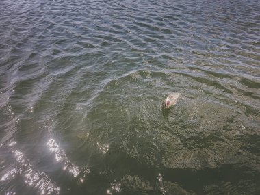 Gölde balık tutmak