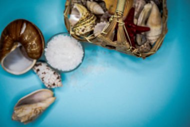 Kabukları ve deniz tuzu arka plan